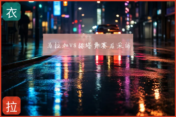 马拉加vs赫塔费赛后采访